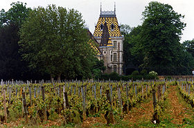 Domaine viticole à Aloxe-Corton