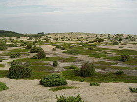 Vue d'Anholt