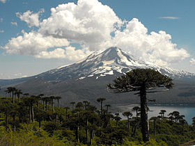 Image illustrative de l'article Parc national Conguillío