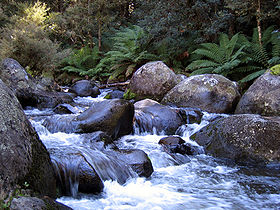 Image illustrative de l'article Parc national de Barrington Tops