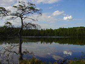 Image illustrative de l'article Parc d'État de Lake Bemidji