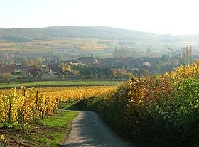 Bergbieten vu du vignoble