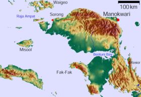 Carte montrant la péninsule de Doberai (en haut), celle de Bomberai (en bas) et le golfe de Bintuni (entre les deux).