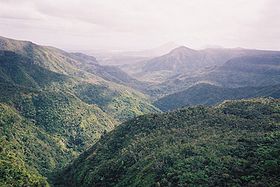 Image illustrative de l'article Parc national des gorges de Rivière Noire