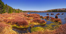 Image illustrative de l'article Parc d'État de Black Moshannon