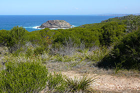 Image illustrative de l'article Parc national de Bournda