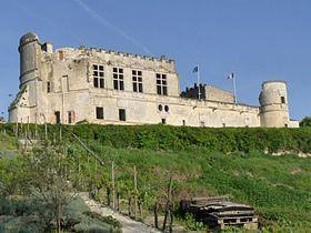 Image illustrative de l'article Château de Bouteville