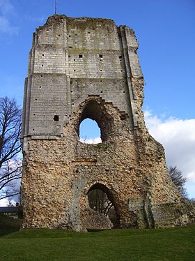 Ruines du donjon carré du XIe siècle