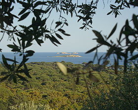 Les îles de Pietricaggiosa et du Toro vues de Palombaggia.
