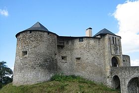 Image illustrative de l'article Château de Mauléon
