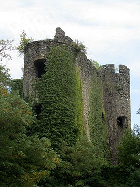 Château de la Rochette 103.jpg