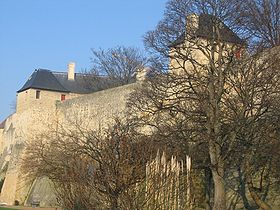 Image illustrative de l'article Château de Caen