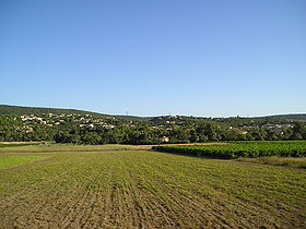 Combaillaux entre vignes et collines boisées.