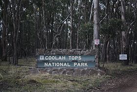 Image illustrative de l'article Parc national des Coolah Tops