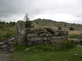Image illustrative de l'article Parc national de Dartmoor