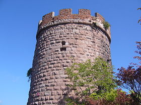 Image illustrative de l'article Château du Haut-Ribeaupierre