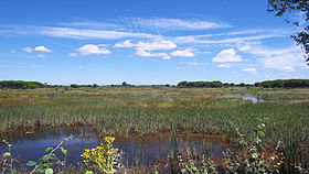 Image illustrative de l'article Parc national de Doñana