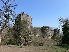 Murailles et Donjon du Château de Prény