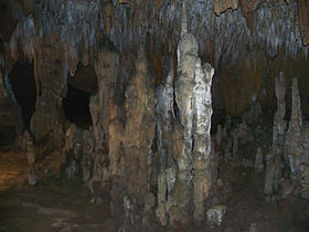 Image illustrative de l'article Parc d'État de Florida Caverns