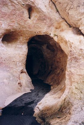 Image illustrative de l'article Grotte de Font-de-Gaume