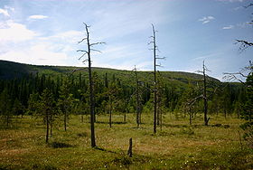 Image illustrative de l'article Parc national de Fulufjället