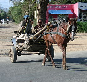 Gari, Véhicule hippomobile sur la route d'Adama reliant Addis-Abeba à Dire Dawa