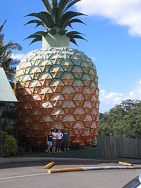 L'ananas géant deNambour