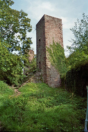 Image illustrative de l'article Château de Greifenstein