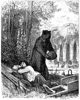 Illustration de L'Ours et l'Amateur des jardins