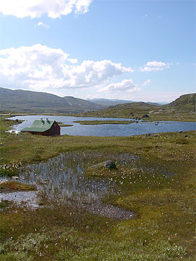 Image illustrative de l'article Parc national de Hardangervidda