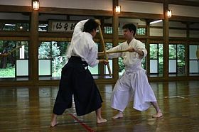 Image illustrative de l'article Kashima Shinden Jikishinkage-ryū