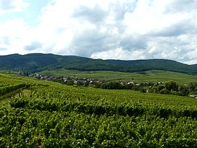 Le village de Hunawihr et ses vignes vue depuis le parvis de l'église. Au fond, les trois châteaux de Ribeauvillé.