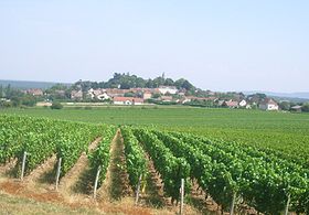 Vue d'une partie du village