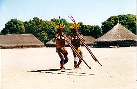 Image illustrative de l'article Parc indigène du Xingu