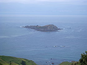 Vue de l'île d'Izaro depuis la côte.