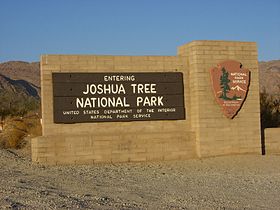 Image illustrative de l'article Parc national de Joshua Tree