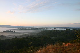 Image illustrative de l'article Réserve nationale de la forêt de Kakamega