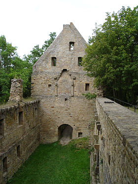 Image illustrative de l'article Abbaye de Disibodenberg