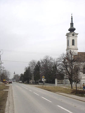 L'église orthodoxe serbe de Kovilj