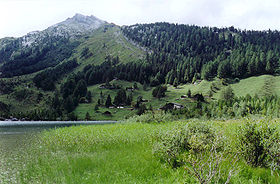 Lac de Derborence, août 2006