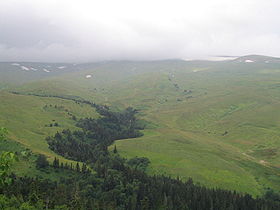 Prairies alpines en Adyguée (plateau de Lagonaki).