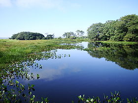 Image illustrative de l'article Parc national d'Ilha Grande