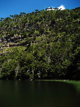 Image illustrative de l'article Parc national Tolhuaca