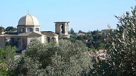Image illustrative de l'article Huile d'olive d'Aix-en-Provence AOC