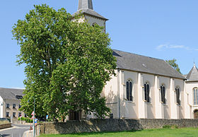L’église Saints-Pierre-et-Paul et le platane remarquable