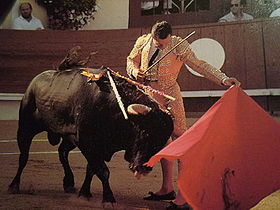 Image illustrative de l'article Manzanares (José María Dolls Abellán)
