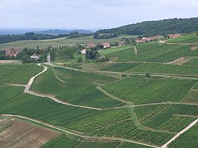 Paysage de Menétru-le-Vignoble.