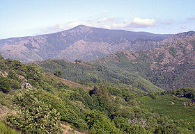 Mont Aigoual Est.jpg