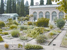 Image illustrative de l'article Jardin des plantes de Montpellier