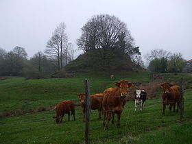 Motte castrale, Le Mazeaubrun, Châlus, Haute-Vienne, France.JPG